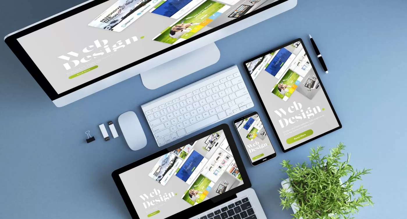 Professional Website Design